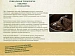 Кофе в зернах Tempelmann Aurelias Bio Арабика, 500г. (Германия) 